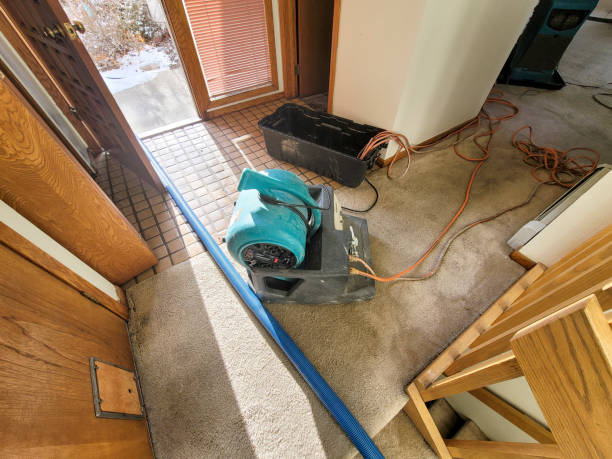 Best 24-hour water damage restoration  in East Flat Rock, NC