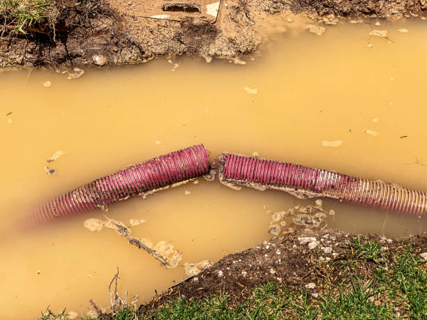 Professional Water damage restoration in NC